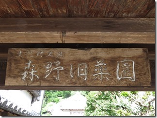 nara-udajioouda (12)