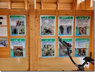 nisindaisatoyamakouen (20)