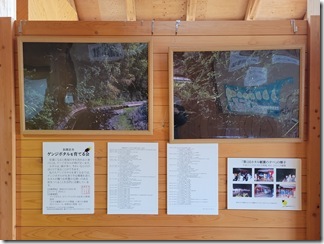 nisindaisatoyamakouen (22)