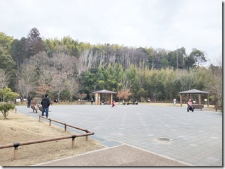 nisindaisatoyamakouen (33)