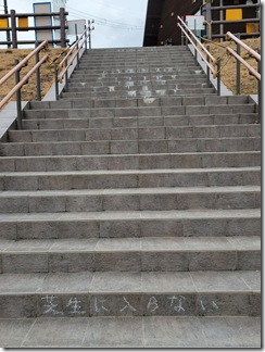 nisindaisatoyamakouen (9)