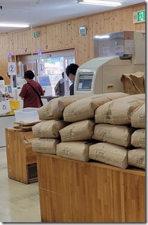 nosekyannpujyoumeguri (26-1) nosekyannpujyoumeguri (26-1)