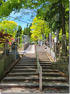 nosemyoukenzan (17)