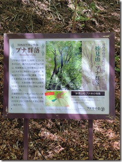 nosemyoukenzan (34)