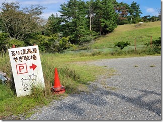rurikeikougenbokujyou (14)