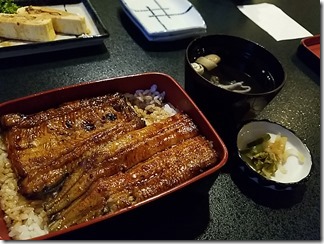 siduka-unagi (12)