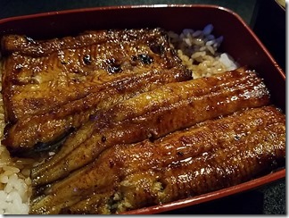 siduka-unagi (14)