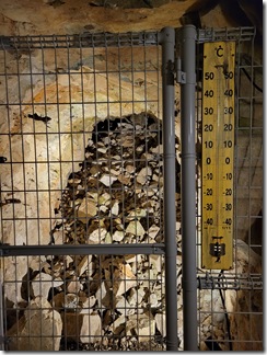 tadqginzaniseki (12)