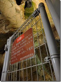 tadqginzaniseki (15)