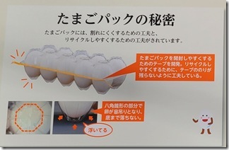 tadqginzaniseki (22-1)