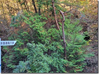 tadqginzaniseki (26)