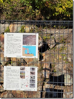 tadqginzaniseki (36)