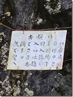 tenkawamura (16)