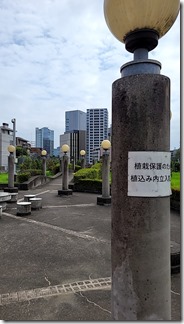 tokyo-kanagawa (39)