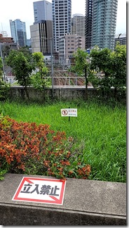 tokyo-kanagawa (40)