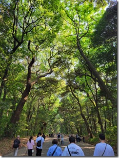 tokyokankou (14)