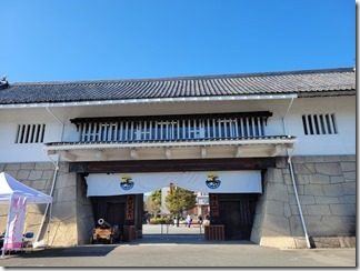 toueiuzumasaeigamura (2)