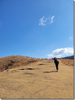 trailrunners (20)