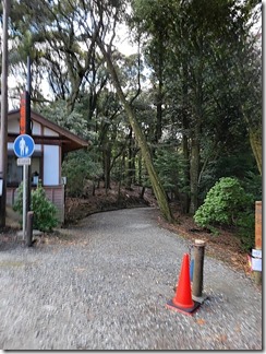trailrunners (26)