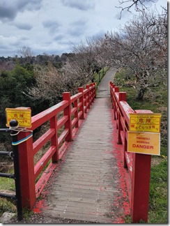 tukigasebaikei (11)