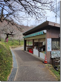 tukigasebaikei (16)
