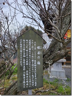 tukigasebaikei (23)