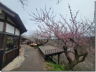 tukigasebaikei (38)