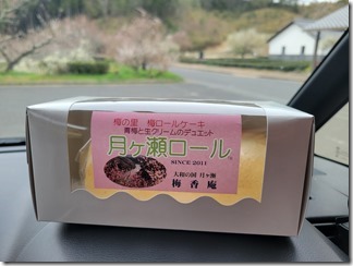 tukigasebaikei (50)
