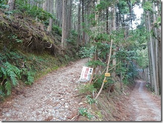 tukinowadera-gaturinnji-atagoyama (58)