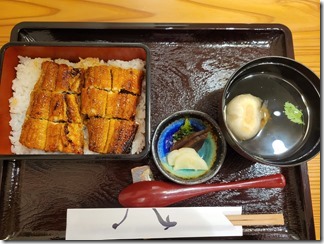unatomi (3)