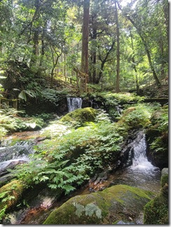 uriwarinotaki (19)